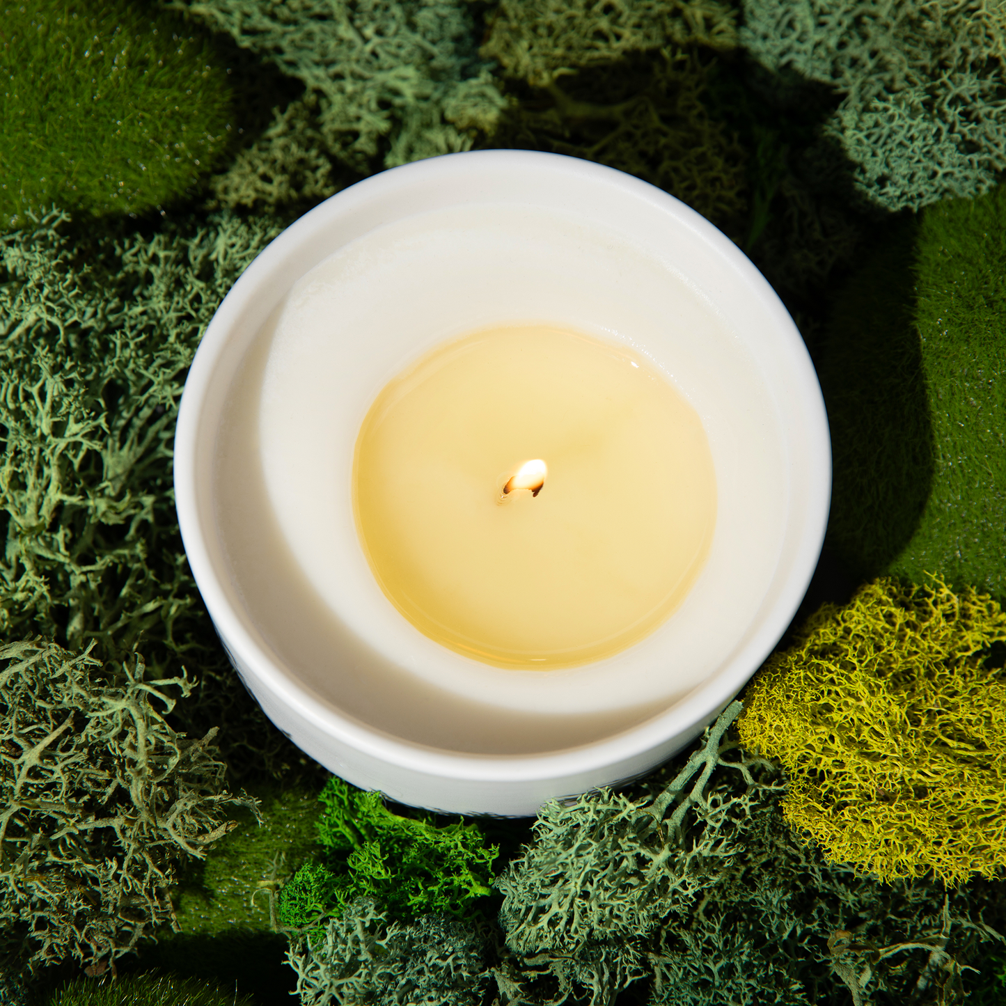 Ghosts, Ghouls, & Gooseberries Candle