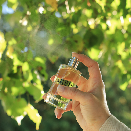 Orange Groves on the French Riviera Room Spray